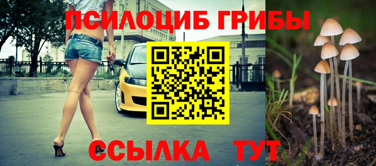 Кунгур  Псилоцибиновые грибы ЛСД  Галлюциногенные грибы Magic Shrooms  Вход с VPN 